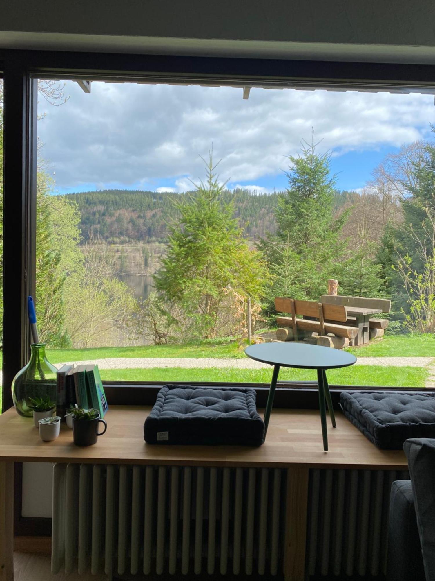 Black Forest Apartments Titisee Exterior photo